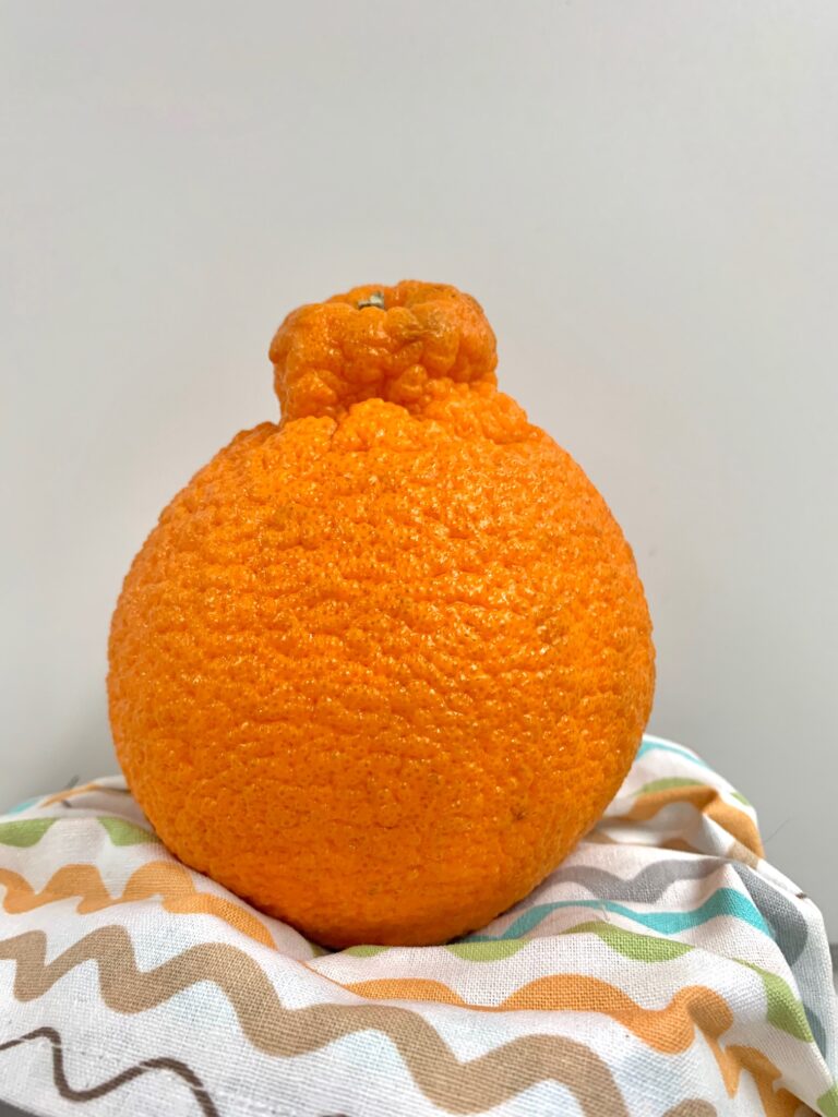 Sumo Citrus… Not an Orange